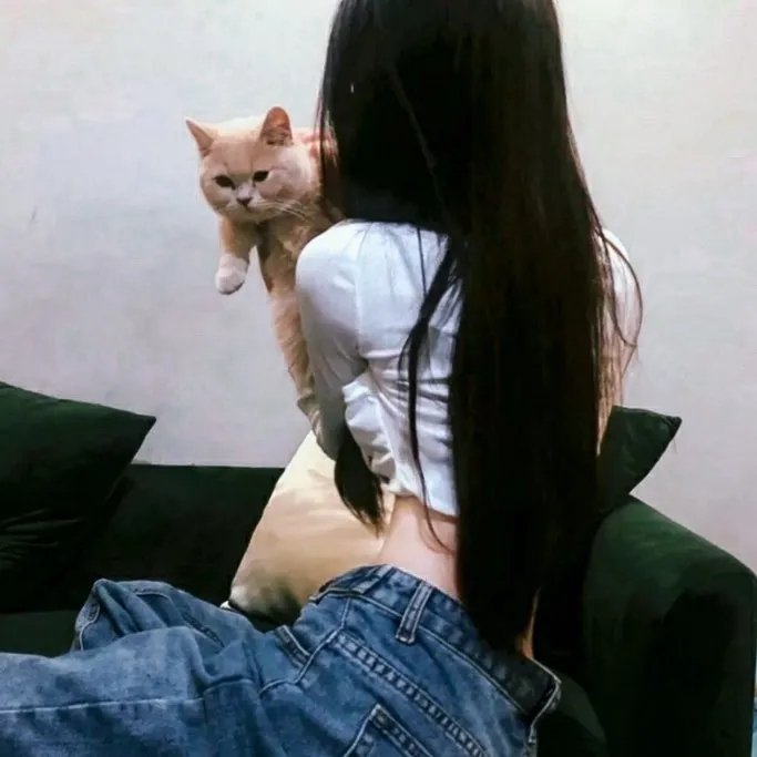 侠盗义贼 在线观看